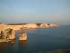 bonifacio1 (15).jpg (26,902 bytes)